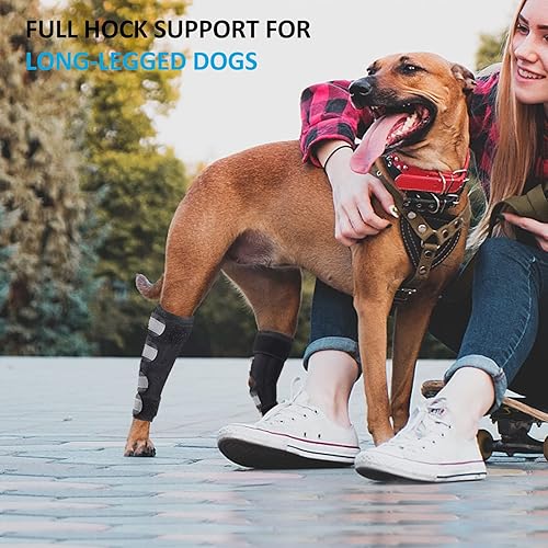 Bawektrl Dog Leg Brace for Rear Legs, Canine Hind Hock Brace