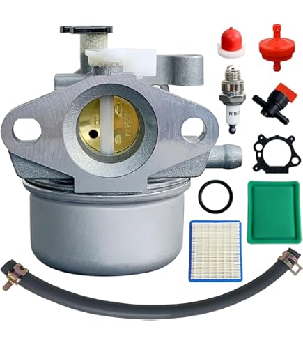 Amazon.com: Shnile Carburetor Replacement for Ruixing Model 216852