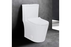 WinZo WZ5079N 23" Small Compact One Piece Toilet,Dual Flush Short for Modern Mini Tiny Bathrooms,Standard 12" Rough-in White