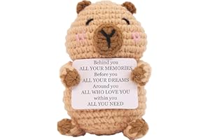 LIGHTZZ Mini Funny Positive Capybara, Knitted Wool Capybara Toy with Positive Card - Creative Cute Crochet Doll Cheer Up Keepsake Gift for Friends, Women, Student, Christmas (Patten1)