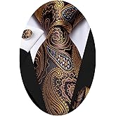 Hi-Tie Silk Paisley Ties for Men Necktie Pocket Square Cufflinks Set Foral Tie Sets Formal Business