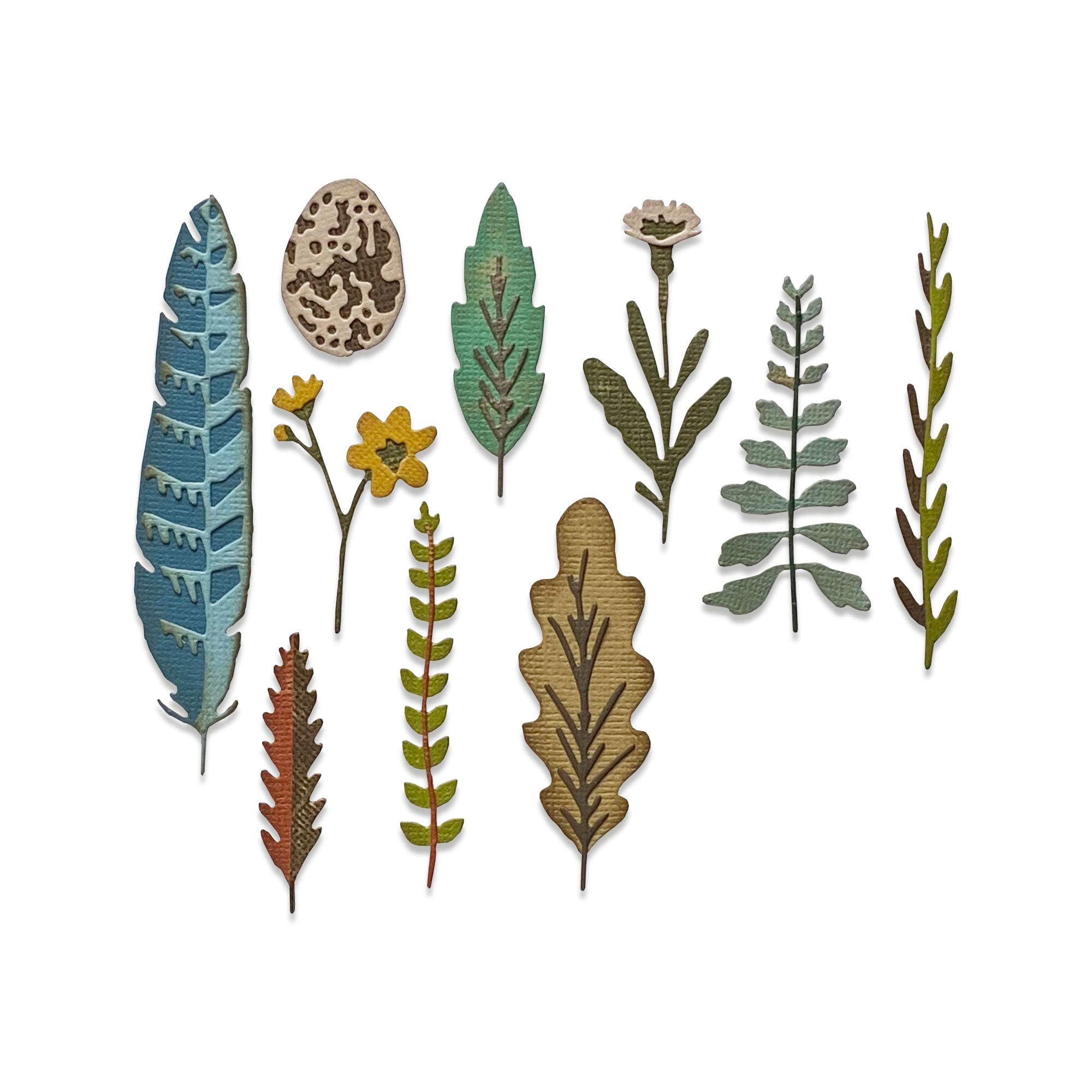 Sizzix Thinlits Die 665215 Funky Nature by Tim Holtz 10 Pack