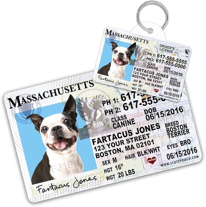 drivers licence dog tag