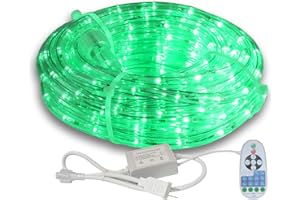 BEATINEON 33FT LED Rope Lights Outdoor with Remote, 300 LED Cuttable Connectable Flexible Tube Lights with 8 Modes, 10 Brightness, Waterproof Rope Lighting for Garden,Patio,Pool,Bedroom,Party,Christmas (Green)