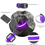 YFbrite Illuminated LED Dog Collar Purple Medium USB Rechargeable Safety Light view 2