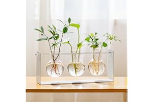 MUDEELA Metal Plant Propagation Station - Modern Planter Terrarium with 3 Glass Vases for Herbs - Ideal for Home Office Decor, Gift for Plant Lovers/Mom, White