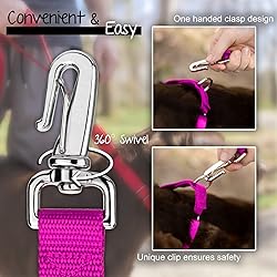 Country Brook Petz - Deluxe Nylon Dog Leash with