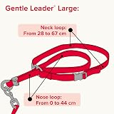 Beaphar Gentle Leader Head Collar for Large Dogs - Anti-Pull Training view 7