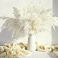 20PCS White Pampas Grass Decor, Natural Dried Pampas Grass Bulk Short Pompas Grass Vase Fillers, Cream Pampas Perfect for Wed