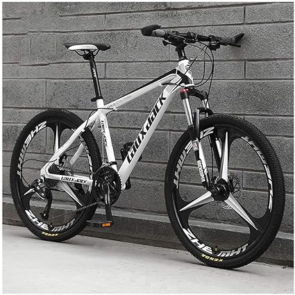 bike size 21