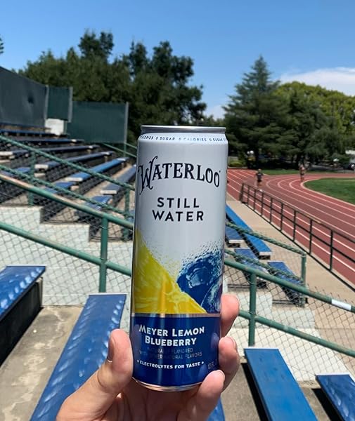 WATERLOO STILL WATER, MEYER LEMON BLUEBERRY NATURALLY FLAVORED PURIFIED WATER | 12 FL OZ CANS (PACK OF 12) – ZERO CALORIES AND ZERO SUGAR OR SWEETENERS