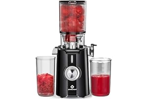 Rush Clear Slow Masticating Juicer Machines, Cold Press Juicer with No-Prep 4.35" Feed Chute Fit Whole Fruits & Vegetables Ju