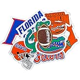 9PCS Florida Iron On Patches，Embroidered Applique Football for Jeans, T-Shirts, Hats, Backpacks & Sports Gear.
