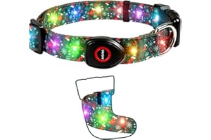 ZOWPET Christmas Light Up Dog Collar, LED Dog Collar Glow in The Dark - USBC Rechargeable, 3 Flashing Modes, Fashionable Cute Glowing Dog Light Up Collars for Medium Large Dogs, Stocking M