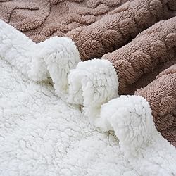 PU MEI Sherpa Throw Blanket for Couch Sofa
