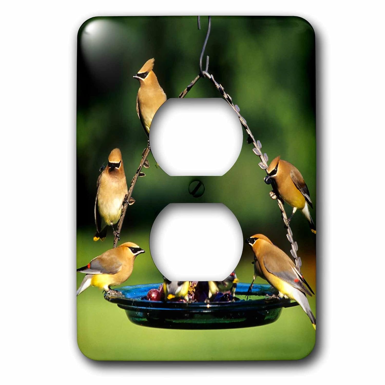3drose Lsp 250853 6 Cedar Waxwings On Grape Jelly Birdfeeder