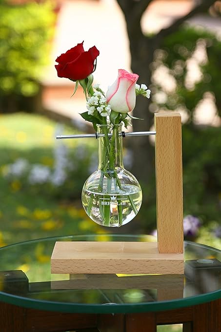 Brew lab Flask Single Test Tube Planter, Glass Planter with Wooden Holder, Table Top Planter for Living Room & Office, Home Decor (Round Bottom Flask - 1, Wooden Stand, Rod and O Rings)