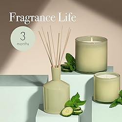 LAFCO New York Classic Reed Diffuser, Wild