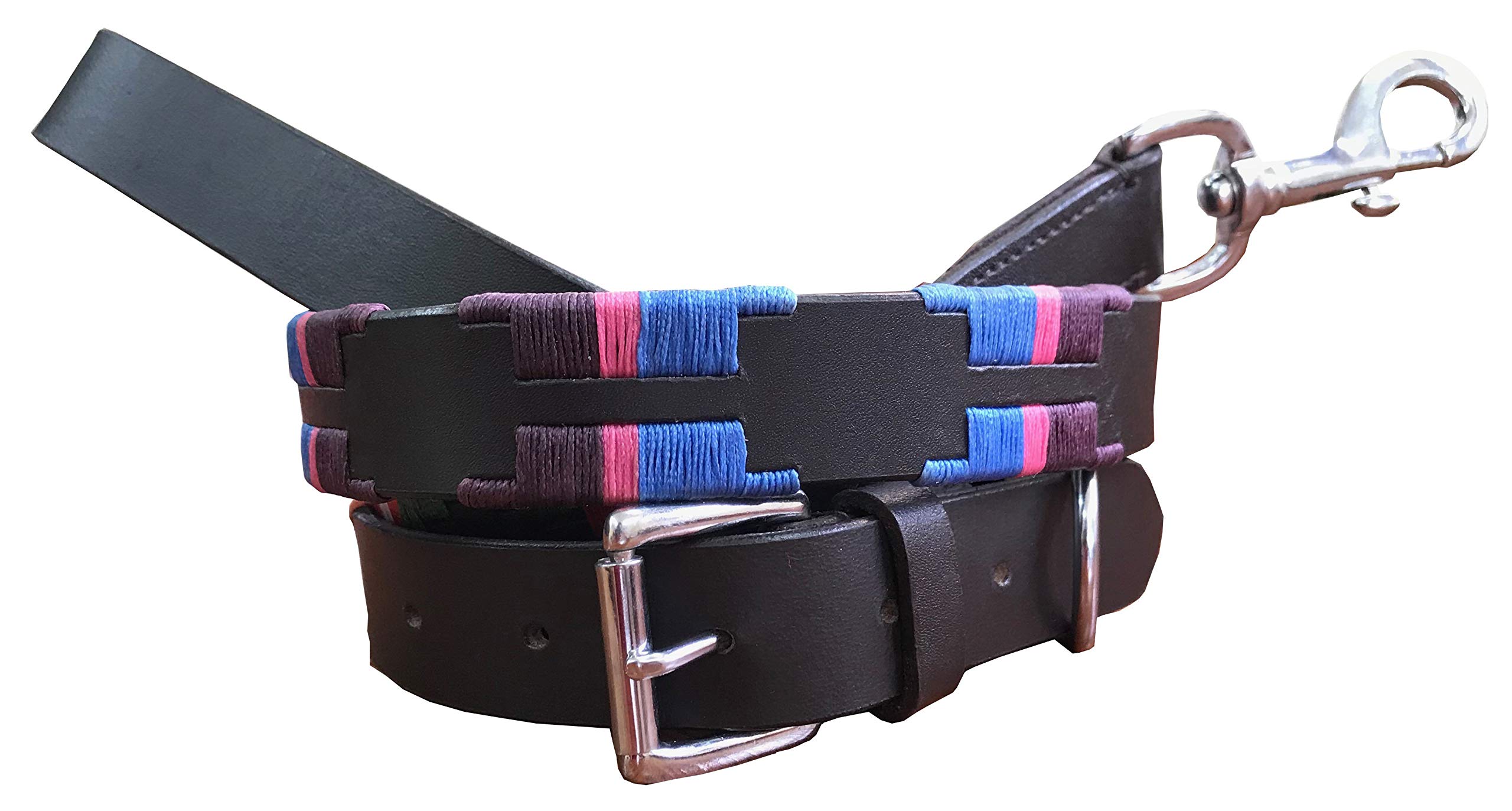 Carlos Diaz Genuine Leather Waxed Embroidered Polo Dog Collar + Free Matching Lead L