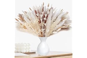 XYXDLM Pampas Grass Decor,75 Pcs Dried Flowers Pampas Grass Decor,Natural Dried Floral Contains Bunny Tails Dried Flowers for