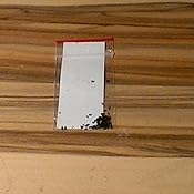 Lavandula angustifolia winterhart