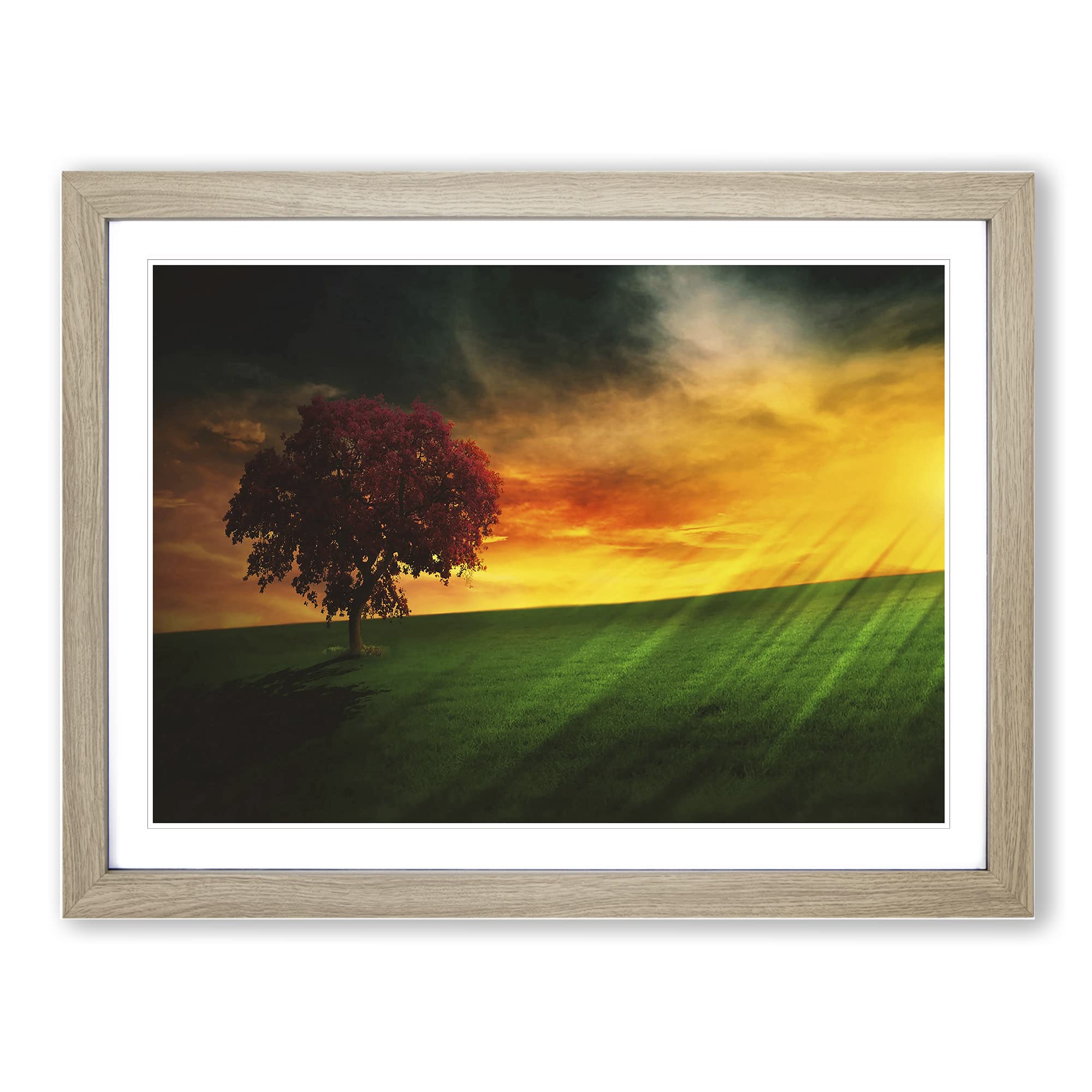 Landscape Brazil Sunset and Tree Modern Framed Print | A4 Oak Framed Wall Art | Ready to Hang | Modern Floral Picture | Living Room Bedroom Lounge Office