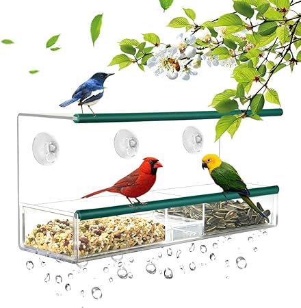 Amazon Com Kamileo Bird Feeder Window Bird Feeder Squirrel