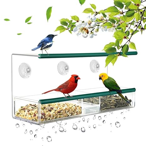 Kamileo Bird Feeder Window Bird Feeder Squirrel Proof With Dual Rubber Perch Self Draining Tray And Suction Cups In House Birding Entertainment For