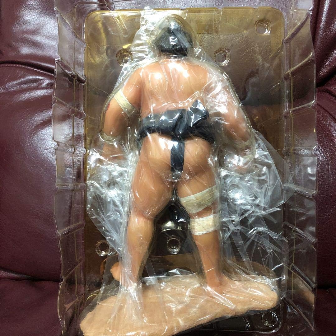 Amazon Co Jp 貴乃花 鬼の形相 フィギュア ホビー 通販