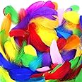 Coceca 300pcs 3-5 Inches Colorful Feathers for DIY Craft Wedding Home Party Decorations