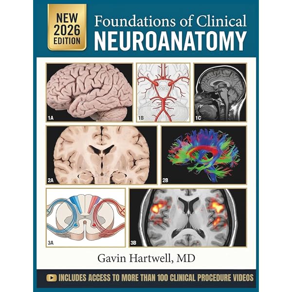 Amazon.com: Netter's Pediatrics (Netter Clinical Science