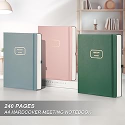 EMSHOI Meeting Notebook for Work with Action Items
