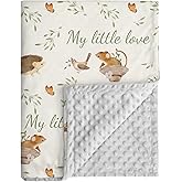 CIVARUA KIDS Baby Blankets for Newborn - Nursery Minky Blankets Super Soft for Boys Girls, Infant Toddler Blanket with Double Layer Dotted Backing for Baby Crib Stroller, 30 x 40 Inch, Animal World
