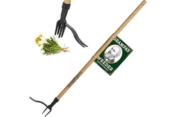 Grampa's Weeder - The Original Stand Up Weed Puller Tool with Long Handle - Made with Real Bamboo & 4-Claw Steel Head Design - Easily Remove Weeds without Bending, Pulling, or Kneeling