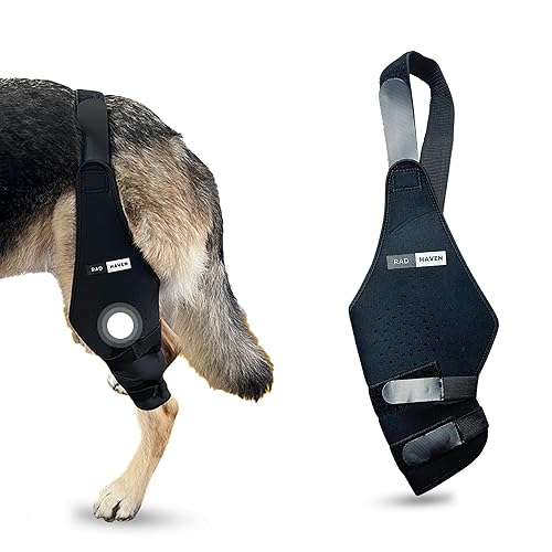 Torn Acl Surgery Used Dog Knee Brace For Sale Dog Knee Brace For