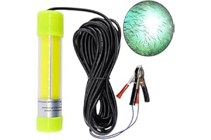 Underwater Fishing Light Super Bright Lure Bait Finder Night Fishing Light 20W LED Lamp 12V with Battery Clip for Shrimp, Pra