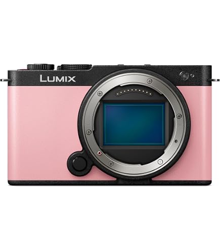 Amazon.com : Panasonic Lumix DMC-FX9K 6MP Digital Camera with 3x