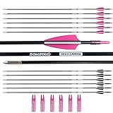 BOWSOUL 31“ Archery Arrows Training Practice