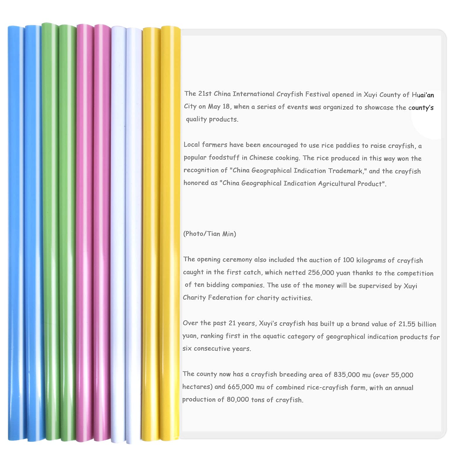 10 Pcs A4 Report Covers with Sliding Bar,Project Presentation Covers,Transparent Document Binder, Project Folders Plastic,Sliding Bar Binder for Home School Office Documents Resume Classification