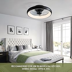 LUDOMIDE Boho Ceiling Fans with Lights, 20" Flush