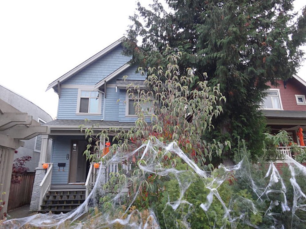 Almatess Halloween Decorations 60 Pcs 5 Different Spiders with 120g Halloween Spider Web Spider Cobweb for Halloween Decoration