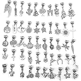 OBSEDE 50 Pcs Mixed Antique Silver Dangle Charms for Bracelet and Necklace Jewelry Making, European Large Hole Beads