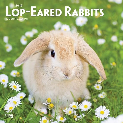 Download Lop-Eared Rabbits 2019 Calendar PDF