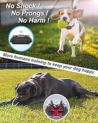 No Shock Dog Training Collar with Remote, Dog