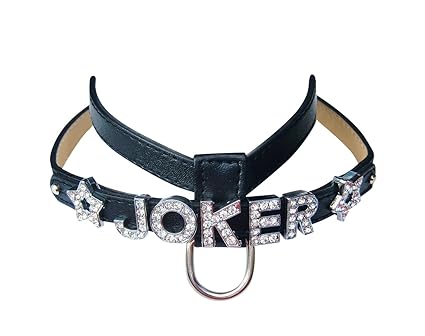 Hunde-Geschirr mit Strass-Buchstaben Namen für kleine Hunde XS Schwarz