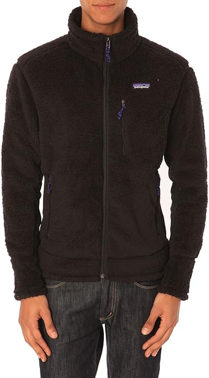 patagonia men's los gatos hoody