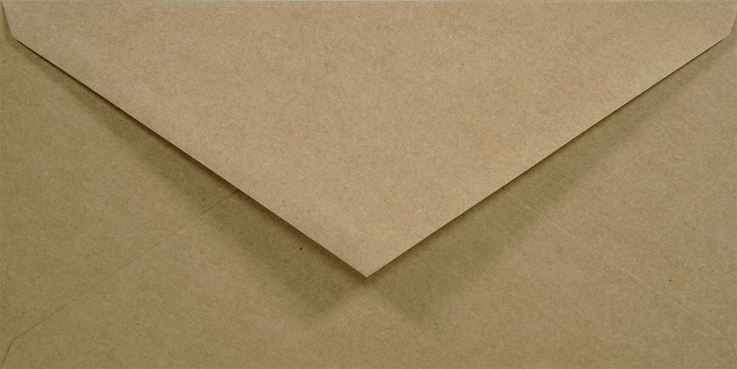 Netuno 100 Long Kraft Paper envelopes DL 110 x 220 mm 4.33 x 8.66 in 100gsm Natural Vintage envelopes for Birthday Cards Wedding Invitations Greeting Cards invoices vouchers DIY