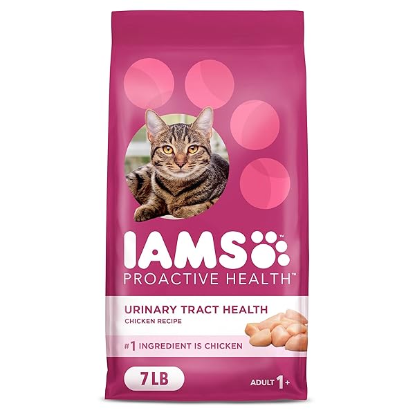 IAMS PROACTIVE HEALTH ADULT URINARY TRACT HEALTH DRY CAT FOOD WITH CHICKEN, 7 LB. BAG