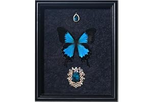 VIVOPTERA Real Butterfly Framed Taxidermy, 9X11 Inch Butter fly Specimen For Science Class, Home Decor Wall Art, Ideal gift for daughter wife and female friend (Black and Blue-Paradise Phoenix Butterfly)