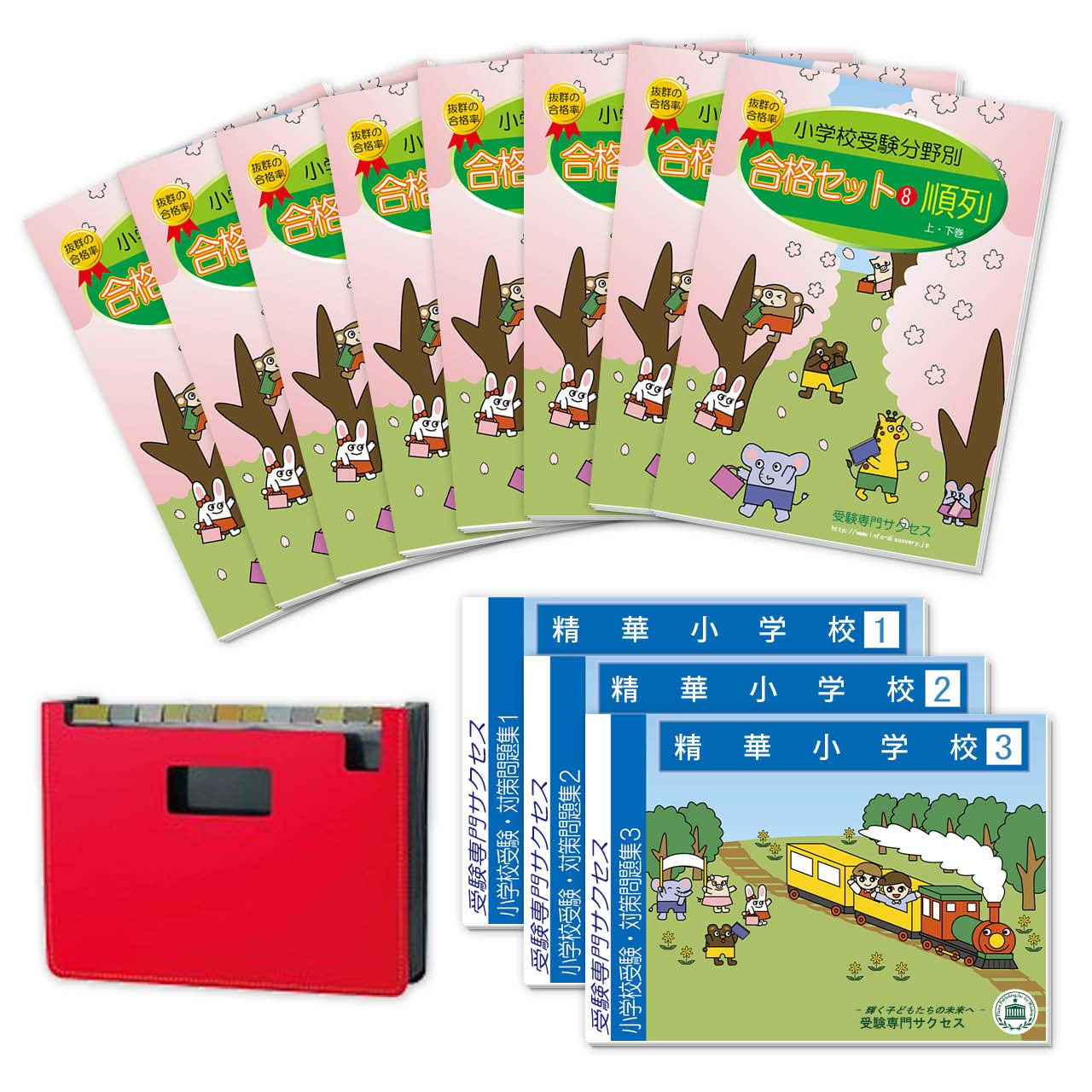 保証書付 小学校受験対策 分野別ステップアップ問題集 受験専門サクセス 中級 参考書